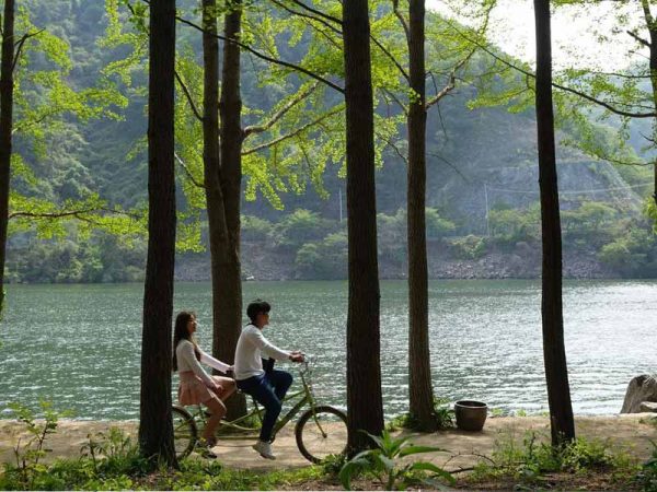 Indahnya Pulau Nami Di Korea